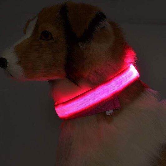 LED Luminous Dog Collar – Adjustable Night Safety Glow for Pets