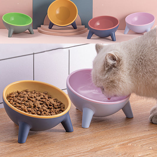 Raised Feeding Bowl for Cats & Dogs