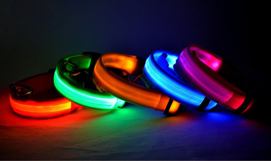 LED Luminous Dog Collar – Adjustable Night Safety Glow for Pets